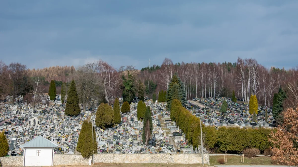 イラン墓地写真はAI生成？真偽を検証