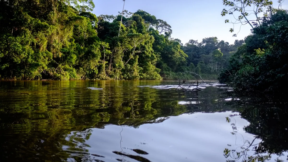 Bedrockエージェント向けStateful Runtime登場