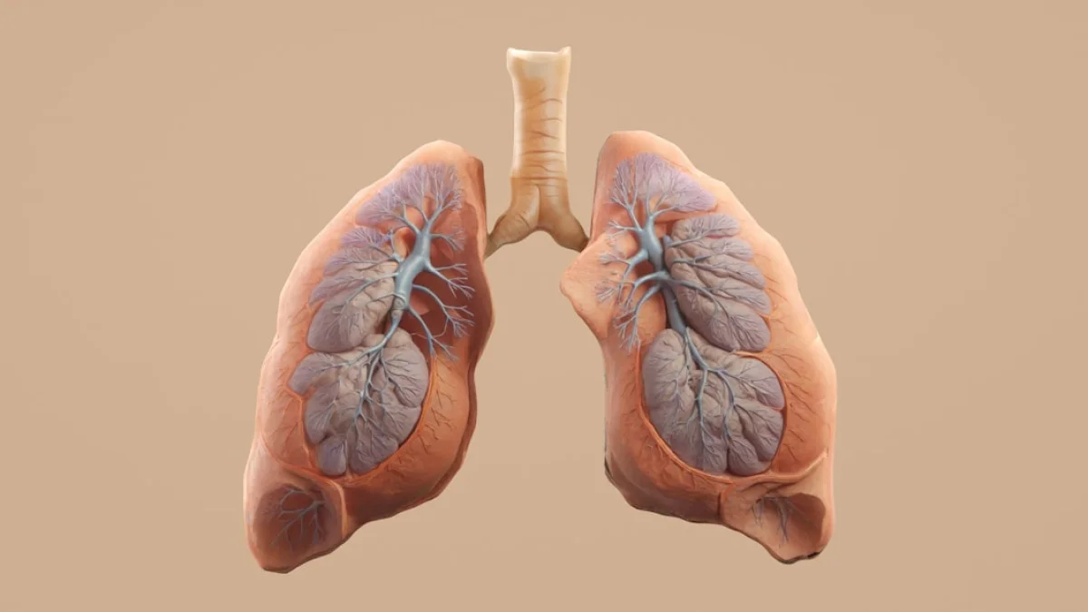 GoogleのAI健康要約に潜む危険と対策