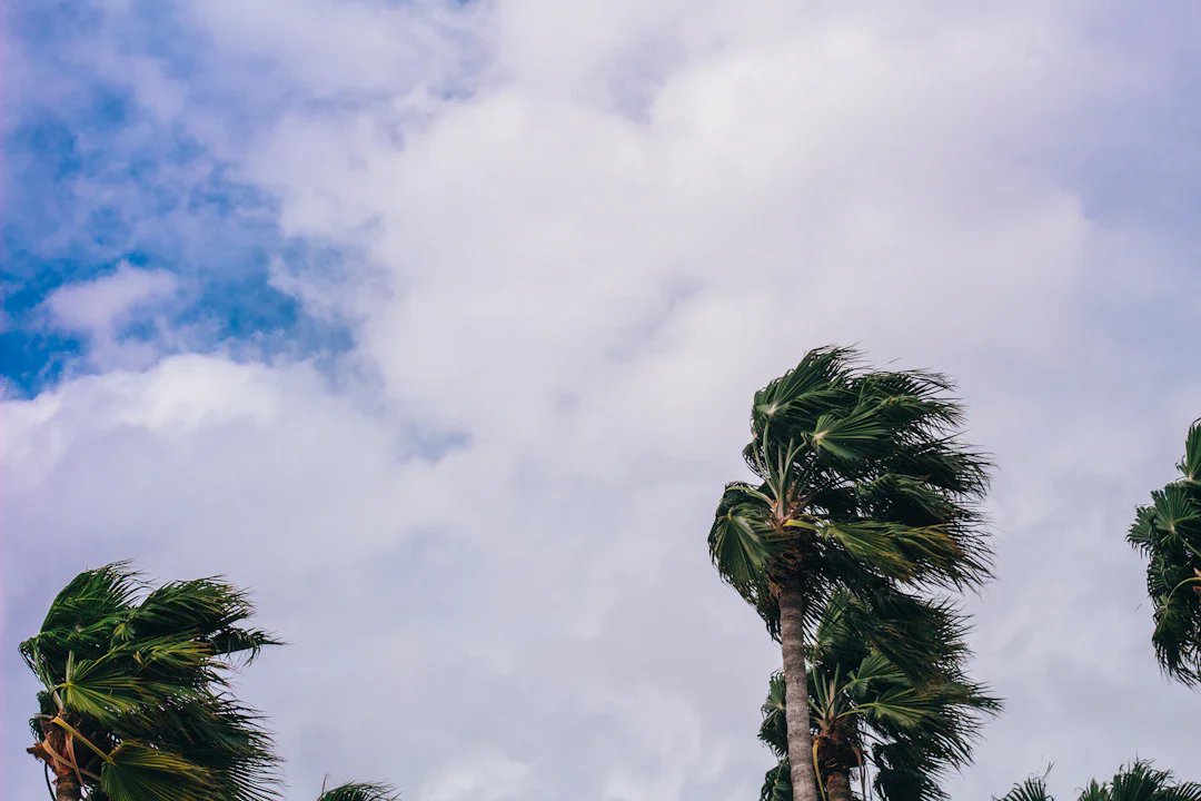 DeepMind WeatherNext、ハリケーン予測で20年分の進歩を実現——3日先の精度が従来の2日先と同等