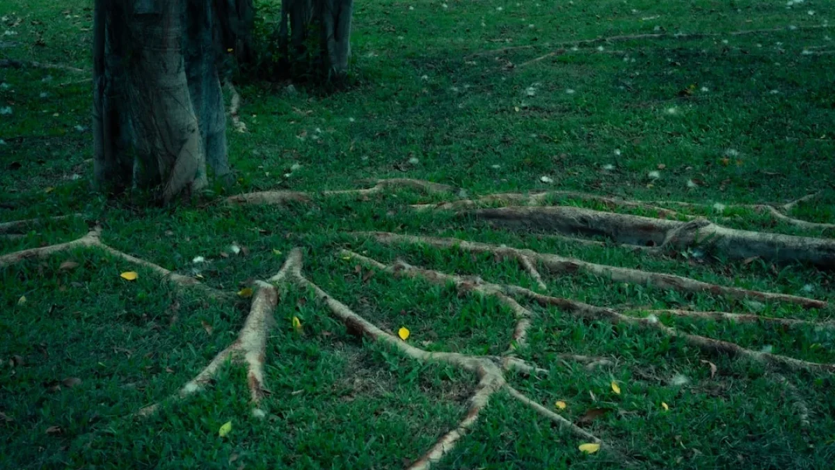 DoorDashがDeductiveで年間1,000時間を節約