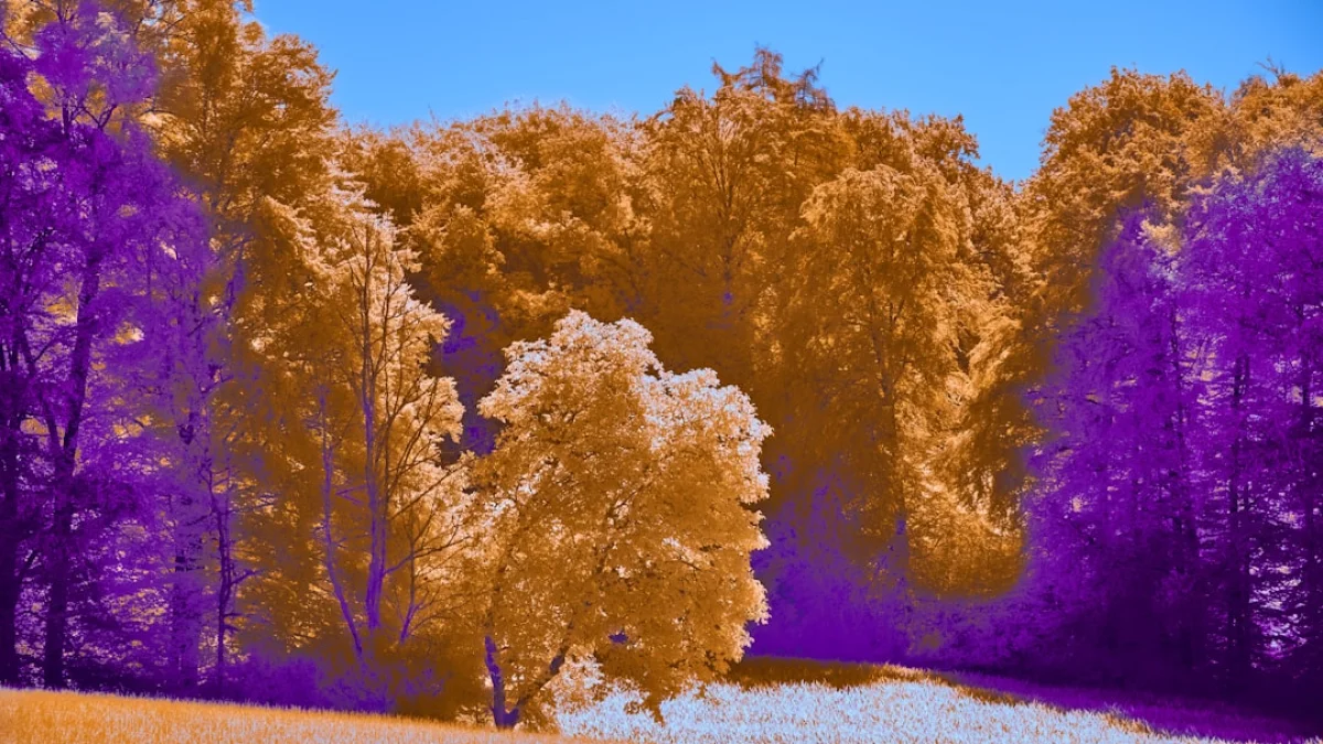 GoogleのNano Banana Proが変えるAI画像