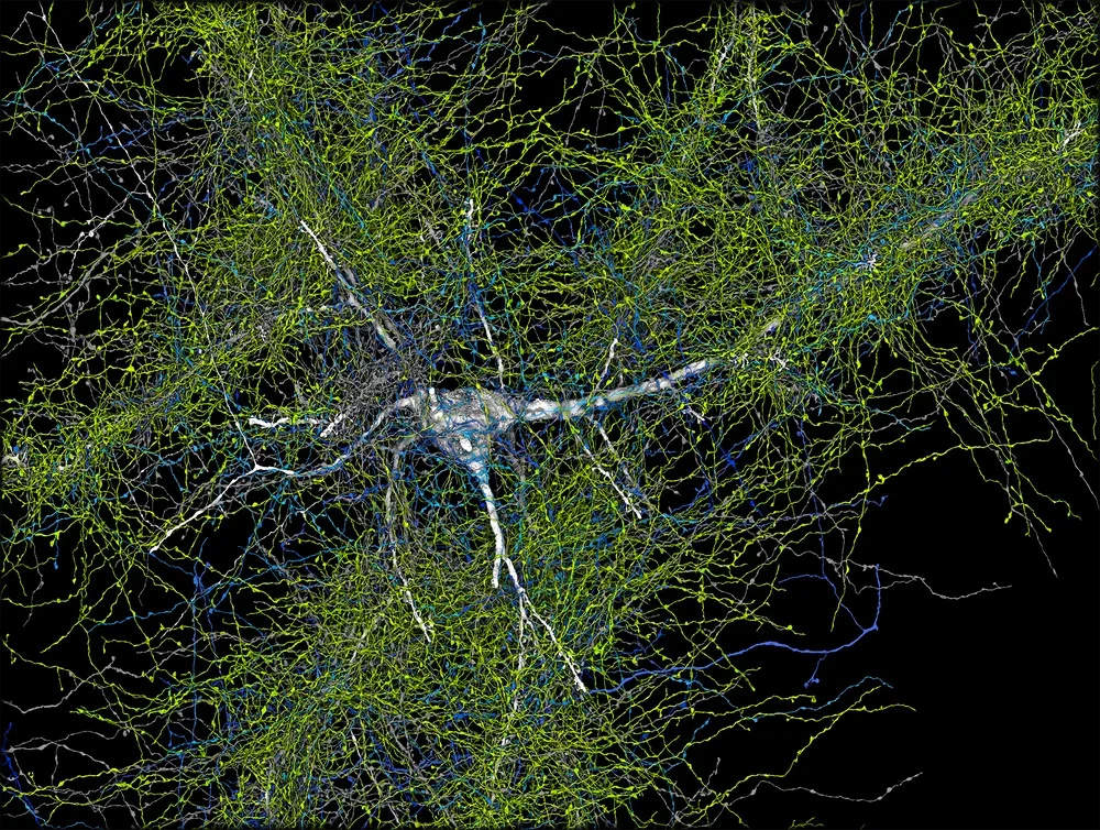 Google、科学的インパクトを加速──グローバルパートナーシップとオープンリソースで研究を民主化