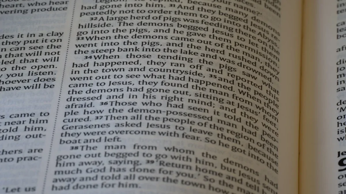 Grokipediaと白人主義の新局面