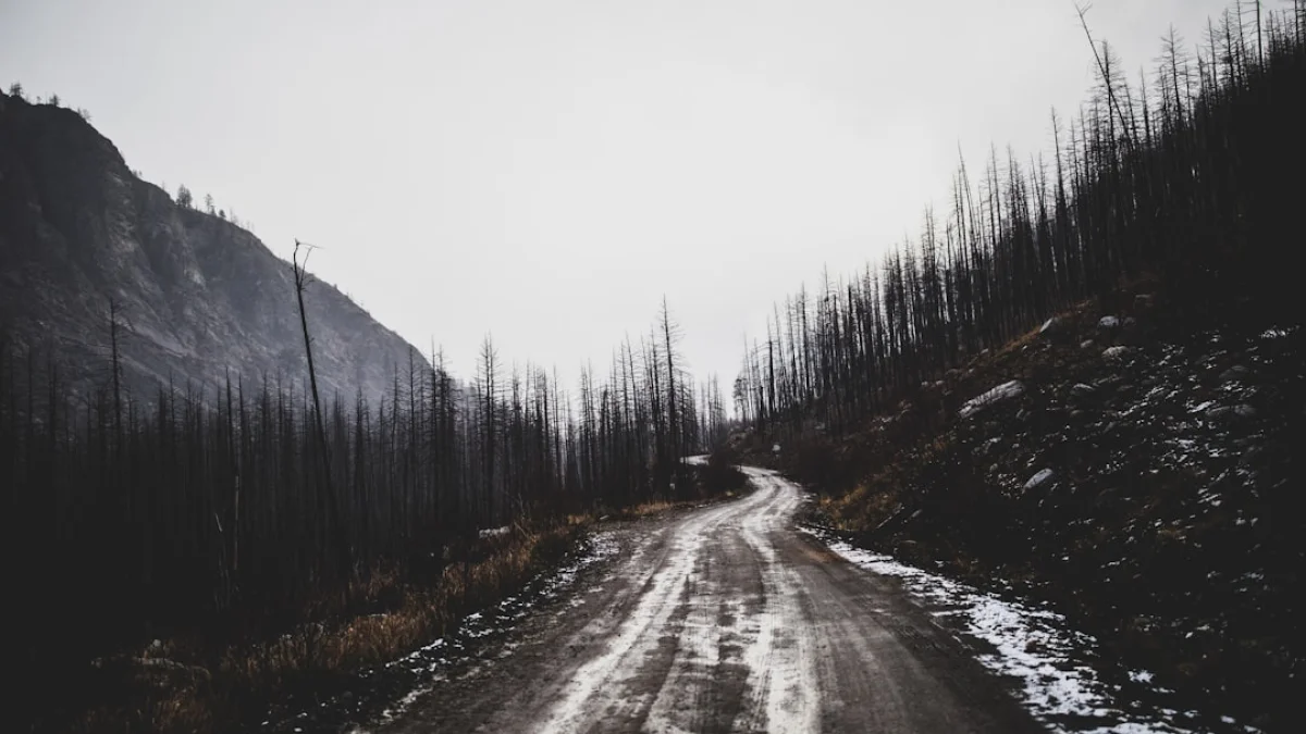 2025の教訓と2026の潮流を読む