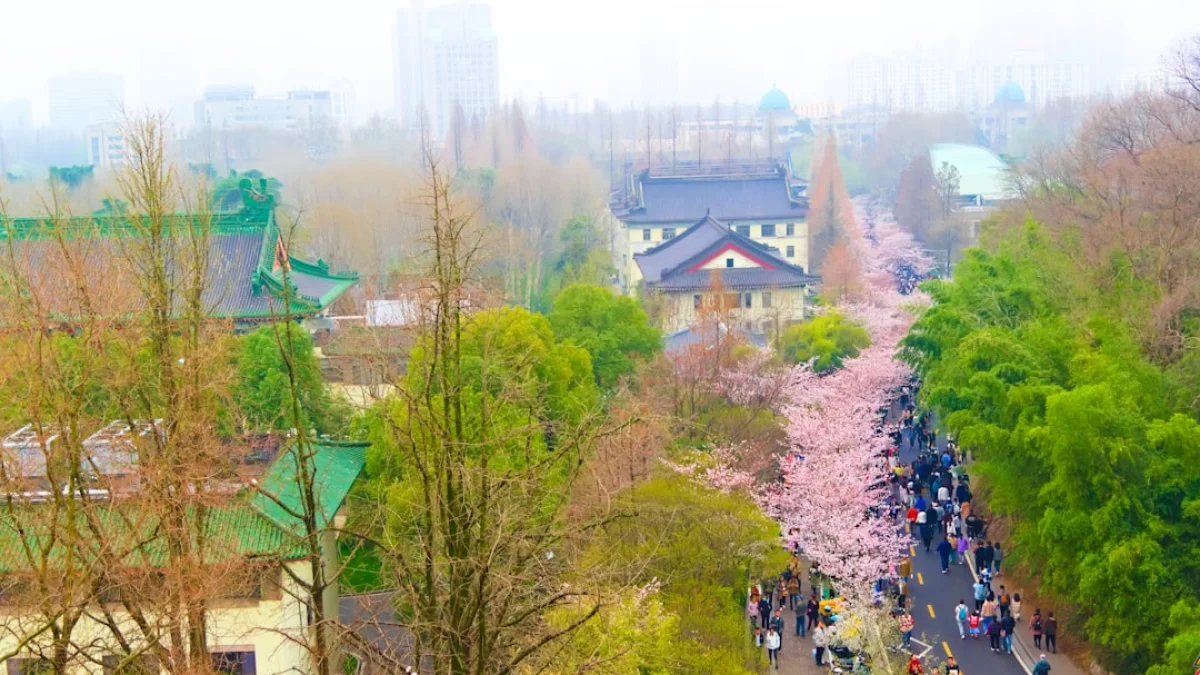 春節前ラッシュ：中国AIモデル更新が加速