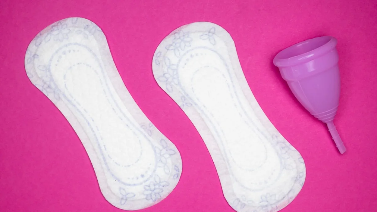 Ouraの新AIが生理周期から更年期まで支援