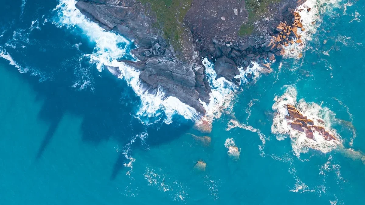 1.4兆の埋め込みで地球地図を再定義