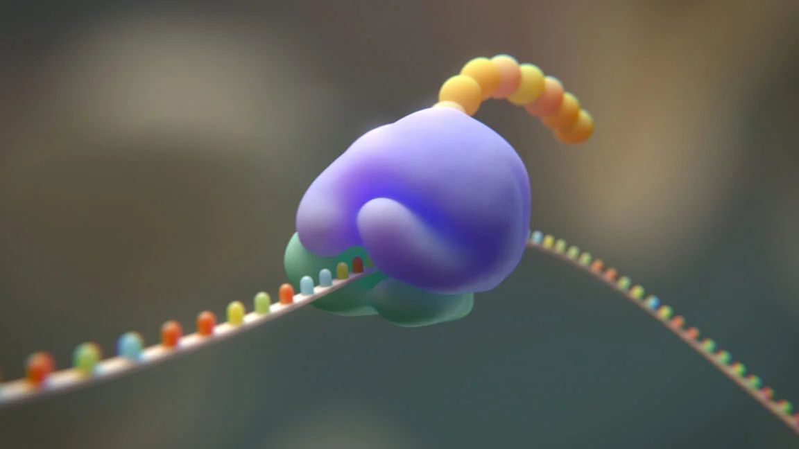 AI が遺伝子コードを 1 つ削減——生命の根本を設計し直す新展開