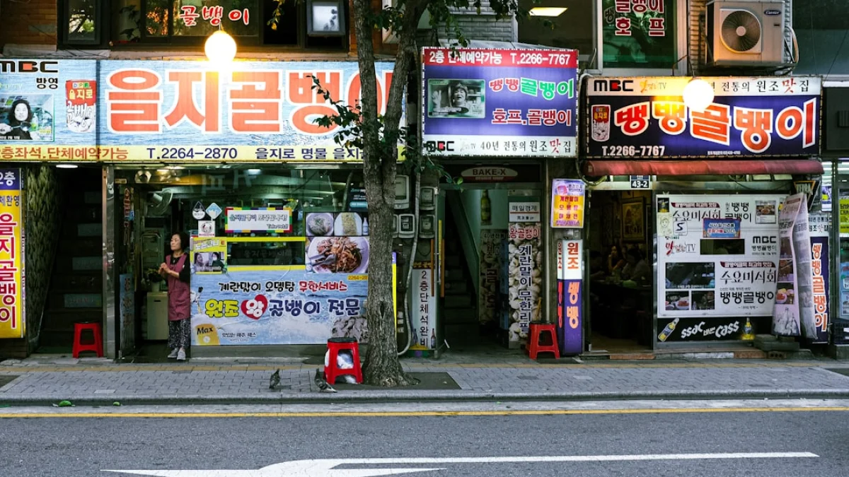 100万枚の街写真で幻覚を抑えるSeoul Model